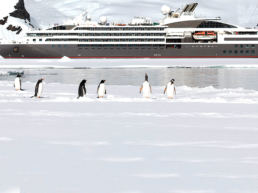 Ponant and penguins